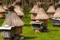 Mountain apiary equipped for visiting tourists. Many wooden round beehives under thatched roofs. Selective focus