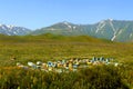 Mountain apiary. Kyrgyzstan