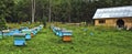 On the mountain apiary