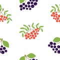Mountain ash and black chokeberry. Seamless pattern. Vector berries. Design elements for textile Royalty Free Stock Photo