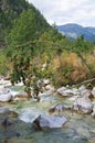 Mountain-ash tree over creek Royalty Free Stock Photo