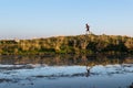 Mountain athlete is reflected in a small lake while running Royalty Free Stock Photo