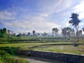 Mountain atmosphere in the countryside with rice fields, creek, trees with bright blue sky