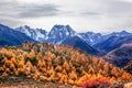 Mountain autumn landscape Royalty Free Stock Photo