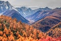 Mountain autumn landscape Royalty Free Stock Photo