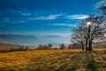 The mountain autumn landscape in Beskidy Royalty Free Stock Photo