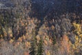 Mountain autumn landscape