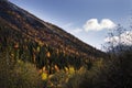 Mountain autumn landscape