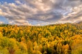 The mountain autumn landscape with colorful forest. Golden autumn in the forest. Caucasus mountains, Adygea, Russia Royalty Free Stock Photo