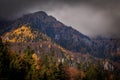 The mountain autumn landscape with colorful forest Royalty Free Stock Photo