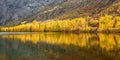 The mountain autumn landscape with colorful forest. Royalty Free Stock Photo