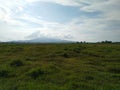 Mountain background and wide expanse of grass during the day