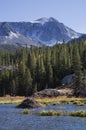 Mountain Beaver Lodge