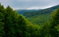 Mountain behind the forested hill