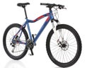 Mountain Bicycle