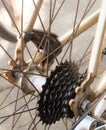 Mountain Bicycle Gears Mechanism and Rear Derailleur Royalty Free Stock Photo