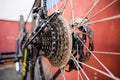 Mountain bicycle repairing. MTB rear wheel disk brakes and chain Royalty Free Stock Photo