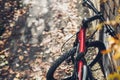 Mountain Bicycle Stands Near A Brick Wall, View From Bikers Eyes. Holiday Weekend Activity