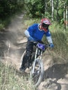 Mountain bike