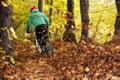 Mountain Bike Biker Forest Downhill Autumn