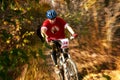 Mountain bike competition Royalty Free Stock Photo