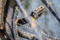 Mountain Bike Covered with Mud Royalty Free Stock Photo