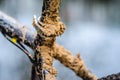 Mountain Bike Covered with Mud Royalty Free Stock Photo