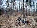 Mountain bike by CUBE in the forest