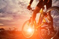Mountain Bike cyclist riding outdoor Royalty Free Stock Photo