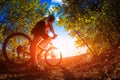 Mountain Bike cyclist riding outdoor Royalty Free Stock Photo