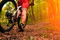 Mountain Bike cyclist riding outdoor Royalty Free Stock Photo