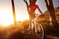 Mountain bike athlete Royalty Free Stock Photo