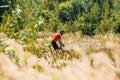 Mountain Bike cyclist riding track in meadow with tall dry gras Royalty Free Stock Photo