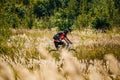 Mountain Bike cyclist riding track in meadow with tall dry grass at sunny day. Healthy lifestyle active athlete doing Royalty Free Stock Photo