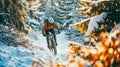 Mountain bike cyclist riding in a winter forest along a trail. Extreme cycling sports concept. Beautiful nature in golden sunlight Royalty Free Stock Photo