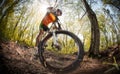 Mountain Bike cyclist Royalty Free Stock Photo