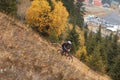 Mountain Bike Downhill Royalty Free Stock Photo