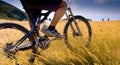 Mountain bike excursion in the Casentino National Park, Tuscany Royalty Free Stock Photo