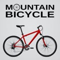 Mountain bike. Isolated object. Vector Image. Royalty Free Stock Photo