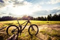 Mountain bike MTB on green summer forest trail