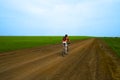 Mountain bike race on ground road Royalty Free Stock Photo