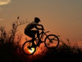 Mountain bike racer silhouette Royalty Free Stock Photo