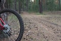 Mountain bike ready to go on a trail in the woods at sunrise Royalty Free Stock Photo