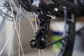 Mountain bike rear derailleur close-up. Rear racing bike cassette on the wheel with chain Royalty Free Stock Photo