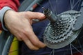 mountain bike repair. The master holds in his hand a tool for removing the cassette. sprocket remover chain whip