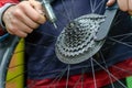 mountain bike repair. The master holds in his hand a tool for removing the cassette. sprocket remover chain whip