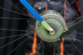 mountain bike repair. Bike mechanic in the workshop. Replacement of the rear wheel cassette. Dirty wheel, hub and spokes and worn Royalty Free Stock Photo