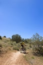 Mountain Bike Rider Royalty Free Stock Photo