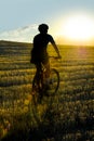 Mountain bike rider riding through beautiful straw field against burning summer sun at sunset Royalty Free Stock Photo