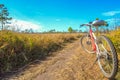 Mountain bike on the road. Royalty Free Stock Photo